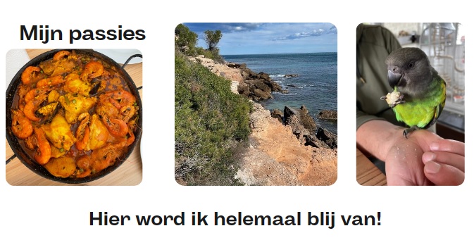 Mijn passies - Hier word ik helemaal blij van!